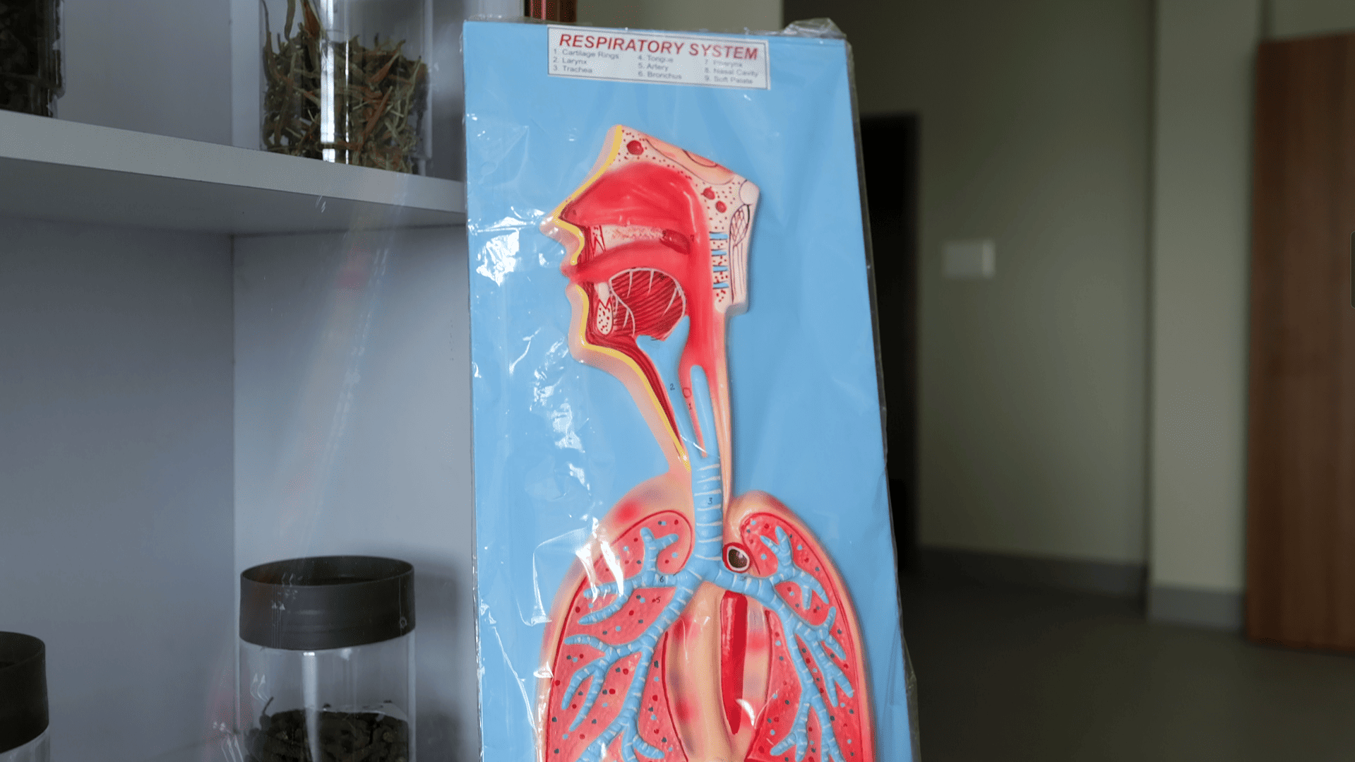 Pragjyotishpur University Guwahati Museum photo 7